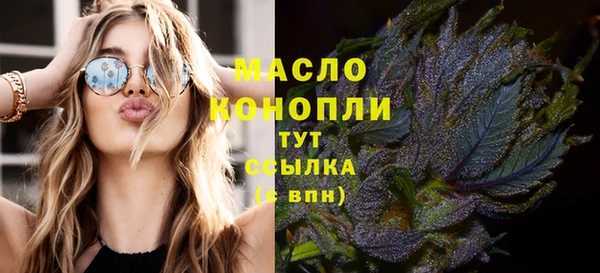таблы Бородино