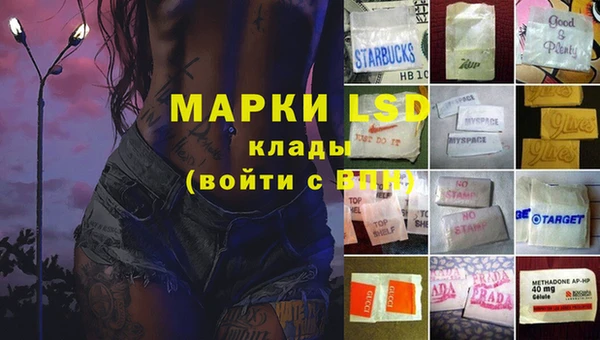 таблы Бородино