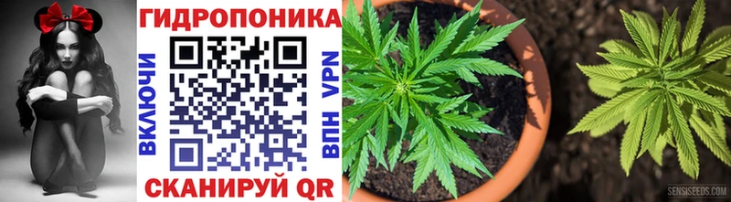 Бошки Шишки Bruce Banner  где продают наркотики  Елабуга 
